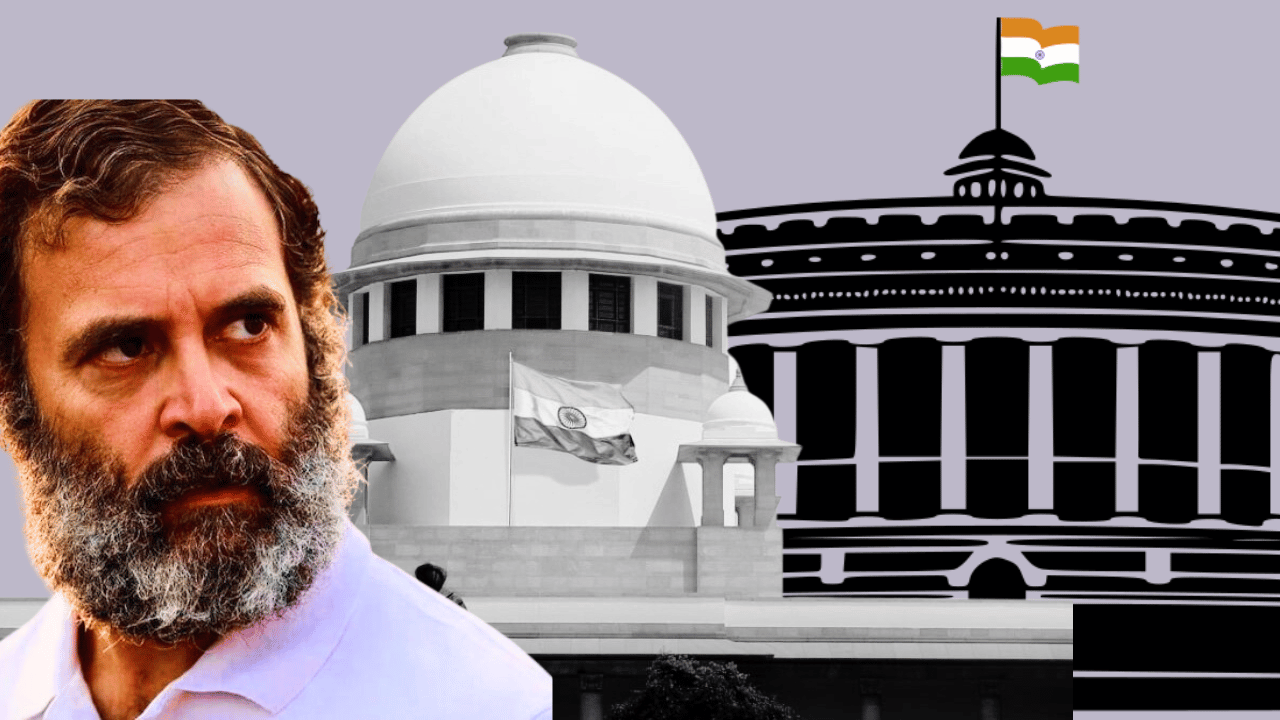 RS Cheema argues for Rahul Gandhi in Modi-surname case