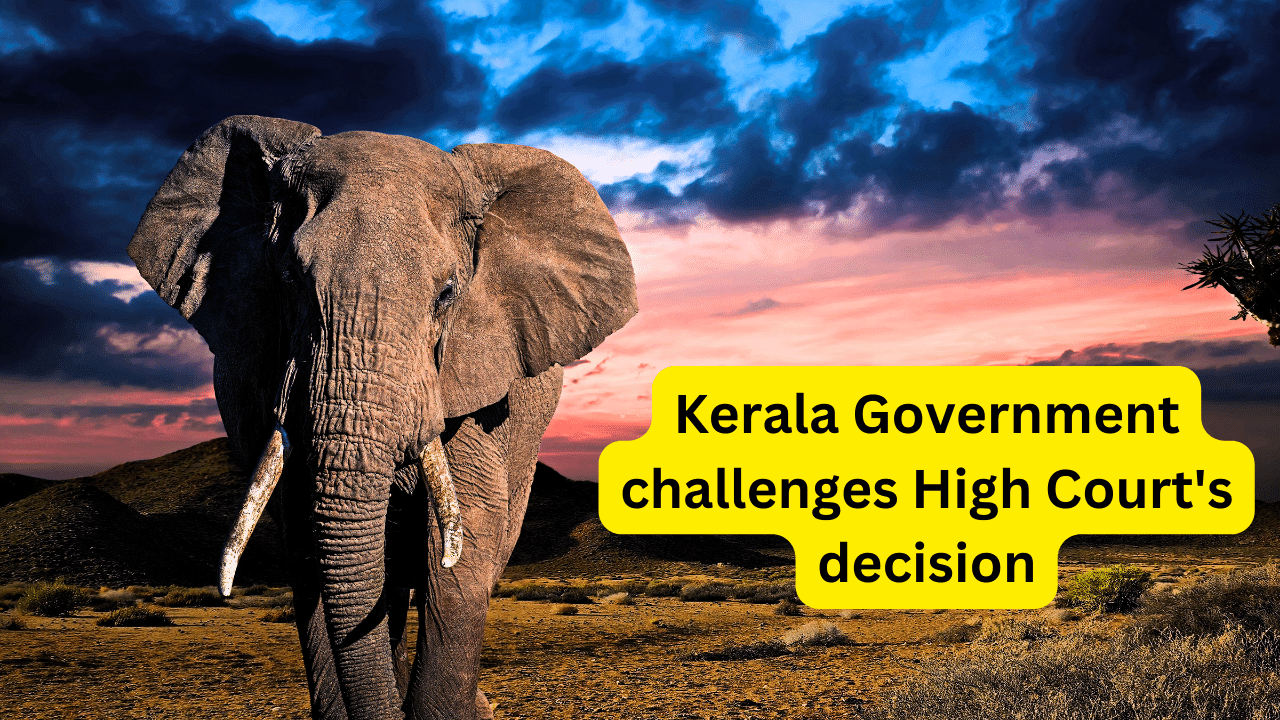 Kerala Government challenges High Court’s decision
