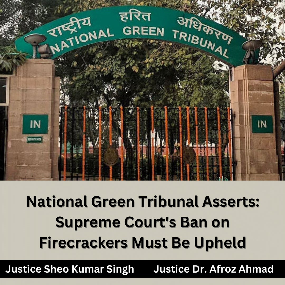 NGT Enforces Supreme Court Ban On Prohibited Firecrackers During Celebrations